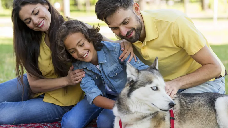 De «dueño» a «tutor»: el cambio que transforma nuestra relación con las mascotas