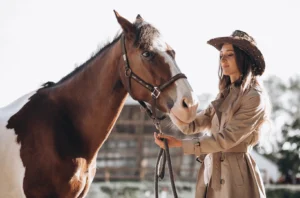 Coaching Asistido con Caballos- Beneficios, Técnicas y Cómo Funciona esta Potente Herramienta de Crecimiento Personal