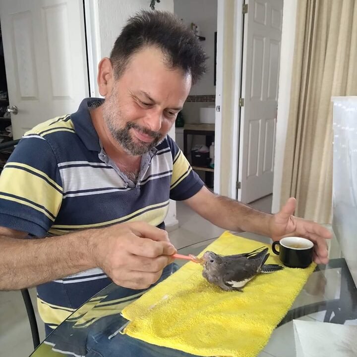 loro en jaula