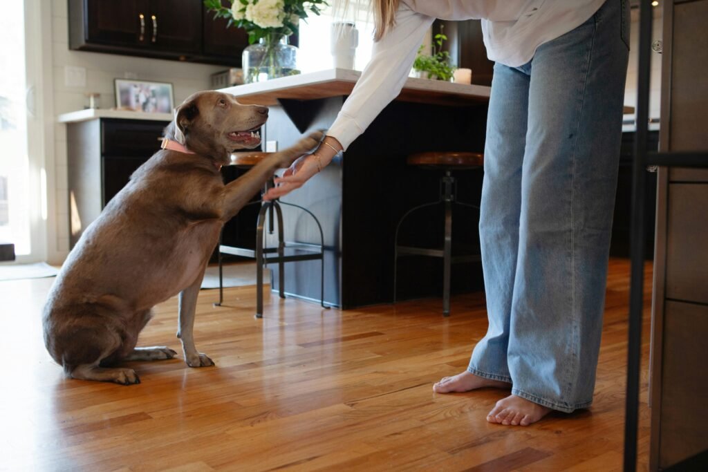perro de soporte emocional